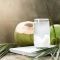 Voici 10 bonnes raisons de boire de l’eau de coco